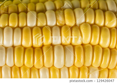 Fresh raw ripe corn cob with bright kernels macro Fresh raw ripe corn cob with bright kernels macro 129426047