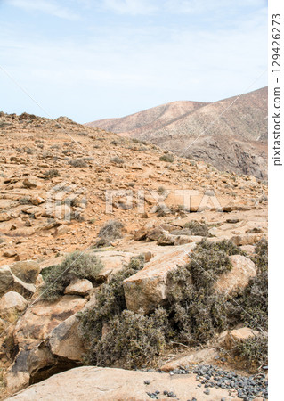 在富埃特文圖拉島內陸的明亮陽光下，光禿禿、乾燥、荒蕪的山脈 129426273