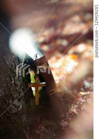 Autumn landscape with bright light, the Holy Cross of Jesus Christ and a Bible on red maple leaves. 129426281