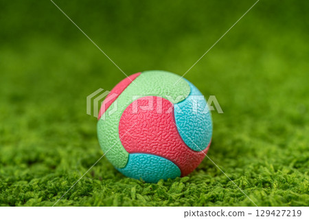 dog ball dog ball 129427219