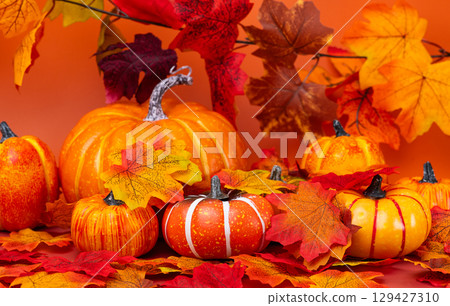 autumn decoration pumpkins 129427310