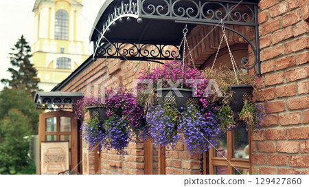 Beautiful flowers on the brick wall of the house. 129427860