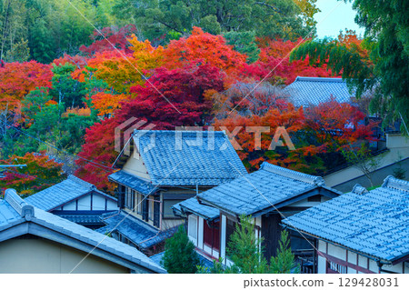 奧賀鳥居本的秋葉充滿活力 129428031