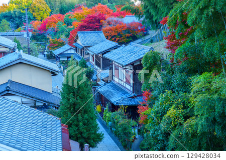 Vibrant autumn foliage in Okusaga Toriimoto 129428034