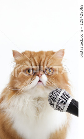 麥克貓 cat-meme916_176 129428068