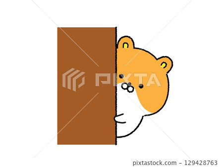 一隻可愛的倉鼠從陰影中探出頭來 129428763