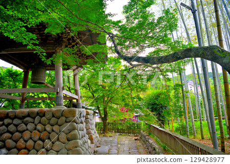Image of Shuzenji Temple, Izu Shuzenji Hot Springs, Chubu region, Shizuoka Prefecture, Izu City, Shizuoka Prefecture (1) 129428977
