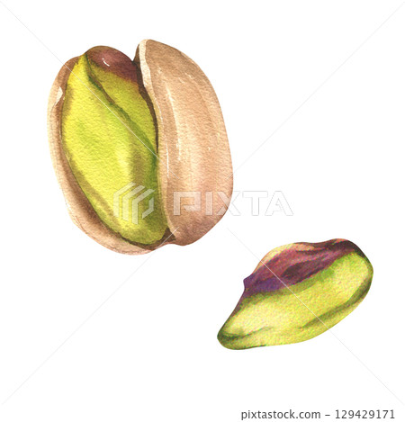 Fresh pistachio nuts watercolor clipart. Hand drawn macro illustration of nut kernel and nutshell, vegan organic food full of protein, painting for product label,logo,market and menu design 129429171