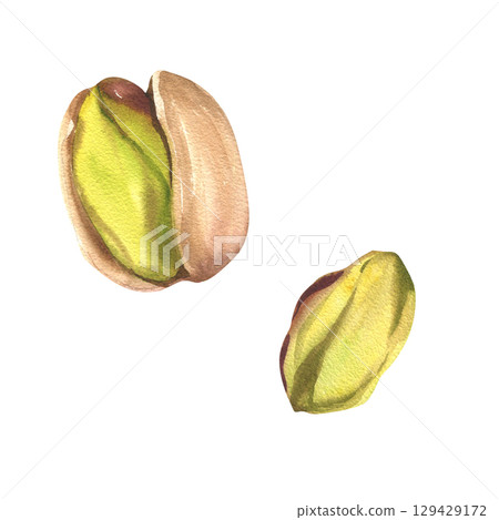 Pistachio nut watercolor macro illustration. Hand drawn vegan food clipart, organic eatery painting of green nuts in nutshell and pilled for menu, product packing, ingredient design Pistachio nut watercolor macro illustration. Hand drawn vegan food clipart, organic eatery painting of green nuts in nutshell and pilled for menu, product packing, ingredient design 129429172