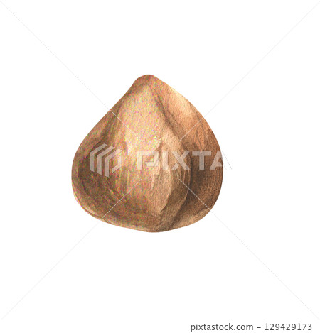 Hazel nut watercolor illustration. Hand drawn isolated forest kernel, pilled brown fresh nut. Vegan organic food painting for product packing, menu,organic shop design 129429173