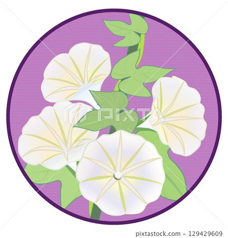 具有圓形背景的牽牛花插圖 129429609