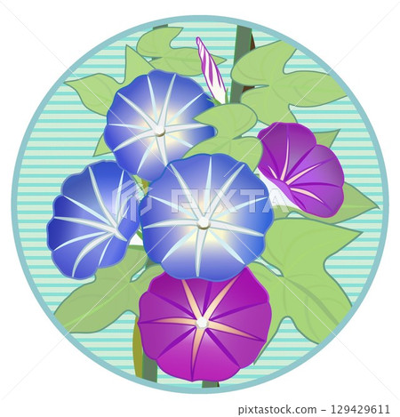 具有圓形背景的牽牛花插圖 129429611
