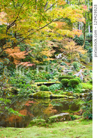 Beautiful autumn leaves at Sanzen-in Temple in Ohara (Sakyo Ward, Kyoto City, Kyoto Prefecture) 129429828