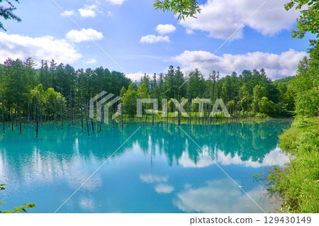 Shirokane Blue Pond and White Clouds (Biei, Hokkaido) 129430149