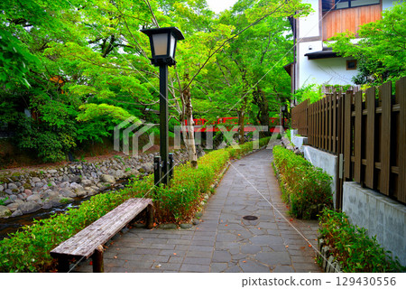 Chubu region, Izu Shuzenji Onsen, a footpath connecting Kokei Bridge (Akogare Bridge) and Katsura Bridge (Musubi Bridge), Shuzenji, Izu City, Shizuoka Prefecture (4) Chubu region, Izu Shuzenji Onsen, a footpath connecting Kokei Bridge (Akogare Bridge) and Katsura Bridge (Musubi Bridge), Shuzenji, Izu City, Shizuoka Prefecture (4) 129430556