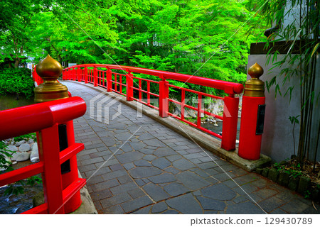 Chubu region, Izu Shuzenji Onsen, walking along the promenade and crossing the Katsura Bridge (Musubi Bridge), Shuzenji, Izu City, Shizuoka Prefecture (1) 129430789