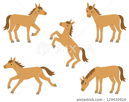褐色的馬插圖集 129430928