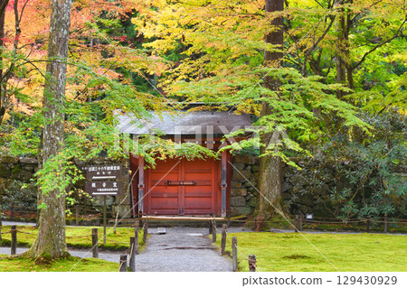 大原三千院：美麗的秋葉與朱雀門（京都府京都市左京區） 129430929