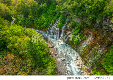 夏季白須瀑布 北海道 旭川 美瑛 夏季白須瀑布 北海道 旭川 美瑛 129431257
