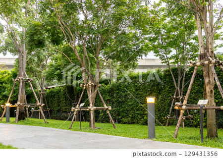 Prem Pracha Vana Rak Park Project resting place 129431356