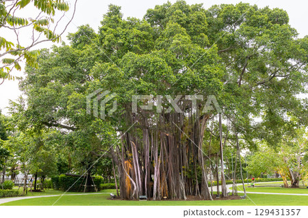 Prem Pracha Vana Rak Park Project resting place 129431357