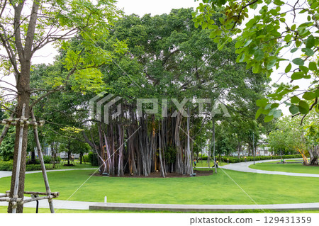 Prem Pracha Vana Rak Park Project resting place 129431359