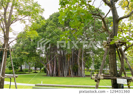 Prem Pracha Vana Rak Park Project resting place 129431360