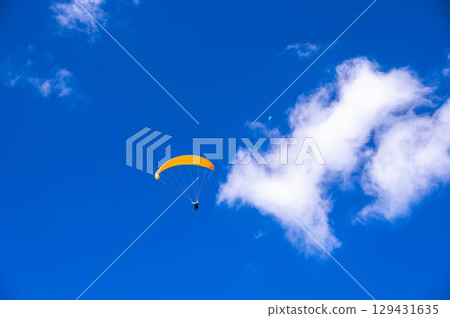 Paraglider flying in the summer blue sky 129431635