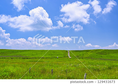 Walking through the Kirigamine Plateau in summer 129431673