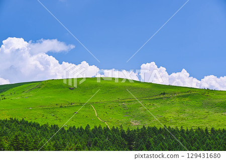 Kirigamine, a refreshing summer day at Kurumayama Plateau 129431680