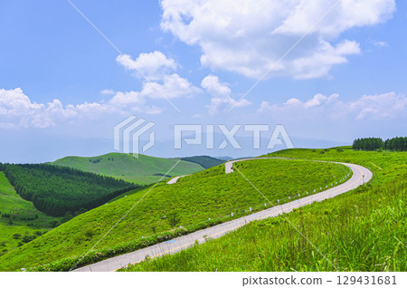 夏霧峰：駕馭金星線 129431681