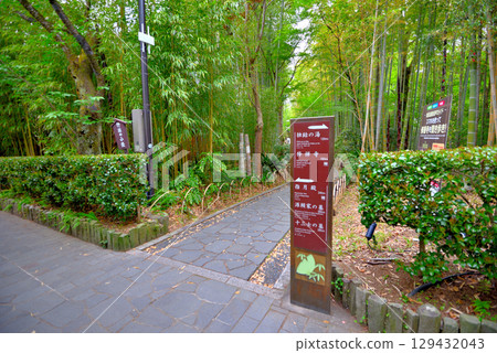 Shuzenji Onsen, Izu, Chubu region, entrance to the bamboo forest path on the Katsura Bridge (Musubi Bridge) side, Shuzenji, Izu City, Shizuoka Prefecture (5) 129432043