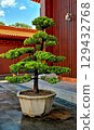 Shenzhen Xianhu Botanical Garden, Luohu District, Shenzhen, Guangdong, China - featuring temples of various Asian faiths, including Hongfa Temple. 16.07.2025 129432768