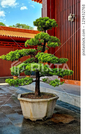 Shenzhen Xianhu Botanical Garden, Luohu District, Shenzhen, Guangdong, China - featuring temples of various Asian faiths, including Hongfa Temple. 16.07.2025 Shenzhen Xianhu Botanical Garden, Luohu District, Shenzhen, Guangdong, China - featuring temples of various Asian faiths, including Hongfa Temple. 16.07.2025 129432768