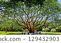 Shenzhen Xianhu Botanical Garden, Luohu District, Shenzhen, Guangdong, China - featuring temples of various Asian faiths, including Hongfa Temple. 16.07.2025 129432903