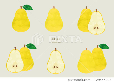 Yellow pear watercolor illustration set (vector version) Yellow pear watercolor illustration set (vector version) 129433008