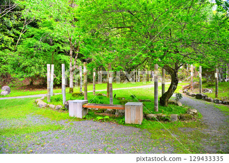 中部地方、伊豆修善寺溫泉、靜岡縣伊豆市修善寺源氏公園 (2) 中部地方、伊豆修善寺溫泉、靜岡縣伊豆市修善寺源氏公園 (2) 129433335