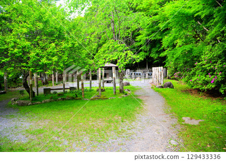 中部地區、伊豆修善寺溫泉、靜岡縣伊豆市修善寺源氏公園 (3) 129433336
