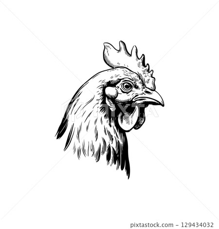 Retro engraving illustration of chicken head. Vector illustration 129434032