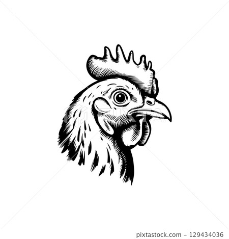 Retro engraving illustration of chicken head. Vector illustration Retro engraving illustration of chicken head. Vector illustration 129434036