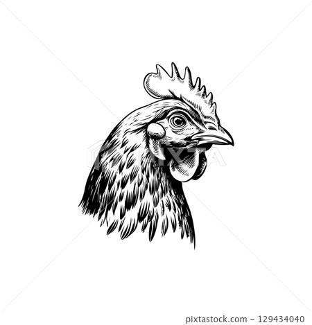 Retro engraving illustration of chicken head. Vector illustration 129434040