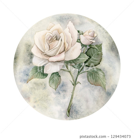 Rose on stem with bud leaves and round moon. White garden flower arrangement. Watercolor hand painted floral isolated illustration for wedding desig home textile fabric crockery card label logo Rose on stem with bud leaves and round moon. White garden flower arrangement. Watercolor hand painted floral isolated illustration for wedding desig home textile fabric crockery card label logo 129434073
