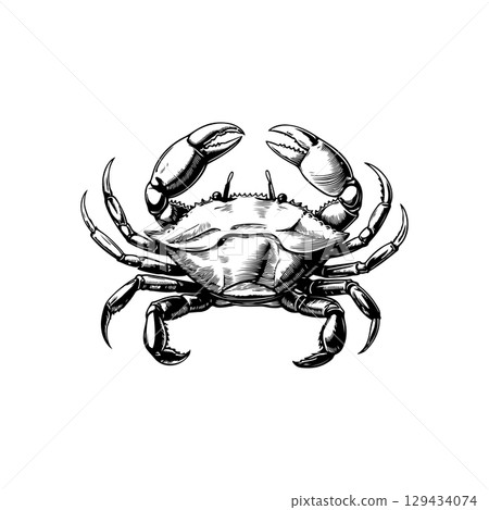 Vintage  engraving illustration of crab. Seafood emblem with crab. Vector crab illustration 129434074