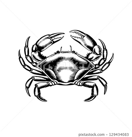 Vintage engraving illustration of crab. Seafood emblem with crab. Vector crab illustration Vintage engraving illustration of crab. Seafood emblem with crab. Vector crab illustration 129434083