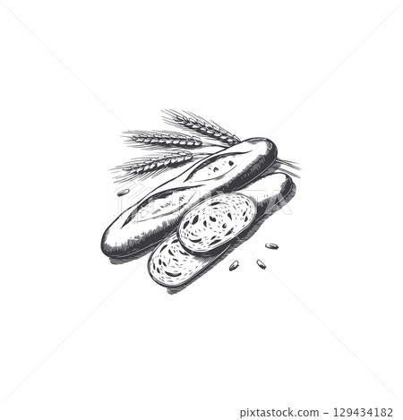 Engraving illustration of baguette and ears of wheat. Vintage bread illustration for bakery. Vector illustration Engraving illustration of baguette and ears of wheat. Vintage bread illustration for bakery. Vector illustration 129434182