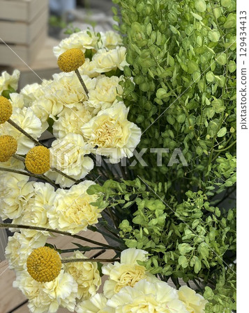 Yellow carnations and green foliage in bloom, perfect as a vibrant spring background 129434413