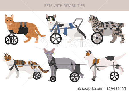Disabled animals clipart. Injured cats in a wheelchairs. Cats with a disabilities 129434435
