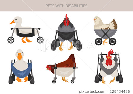 Disabled animals clipart. Injured chikens and ducks in a wheelchairs. Poultry with a disabilities 129434436