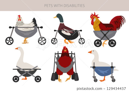 Pets disabilities_dogs wheelchair_1 129434437