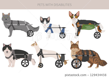Disabled animals clipart. Injured cats in a wheelchairs. Cats with a disabilities 129434438